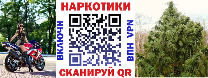 Где можно купить наркотики Салаир Галлюциногенные грибы  MDMA  Каннабис  MEGA ONION  Мефедрон 