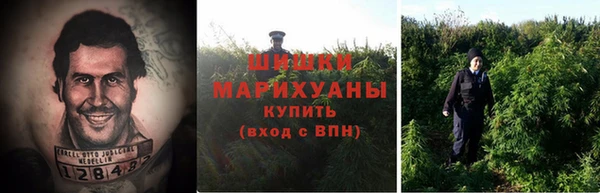 крисы Медногорск