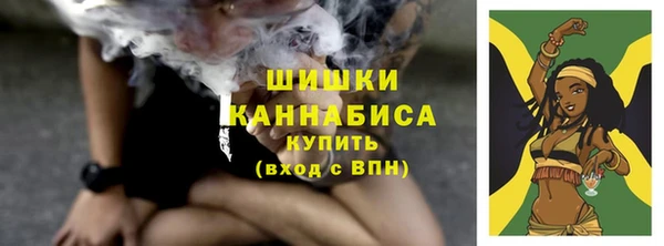 тгк Мегион