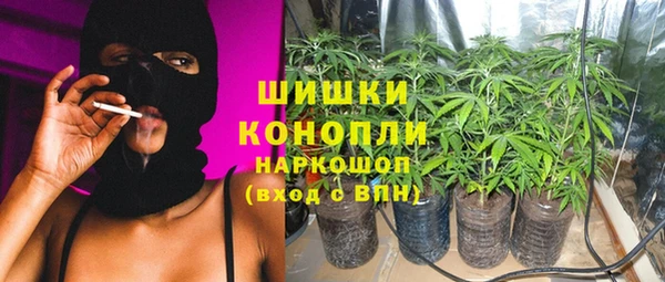 крисы Медногорск