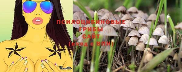 мяу мяу мука Киселёвск