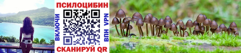 цена наркотик  Салаир  Псилоцибиновые грибы Psilocybine cubensis 